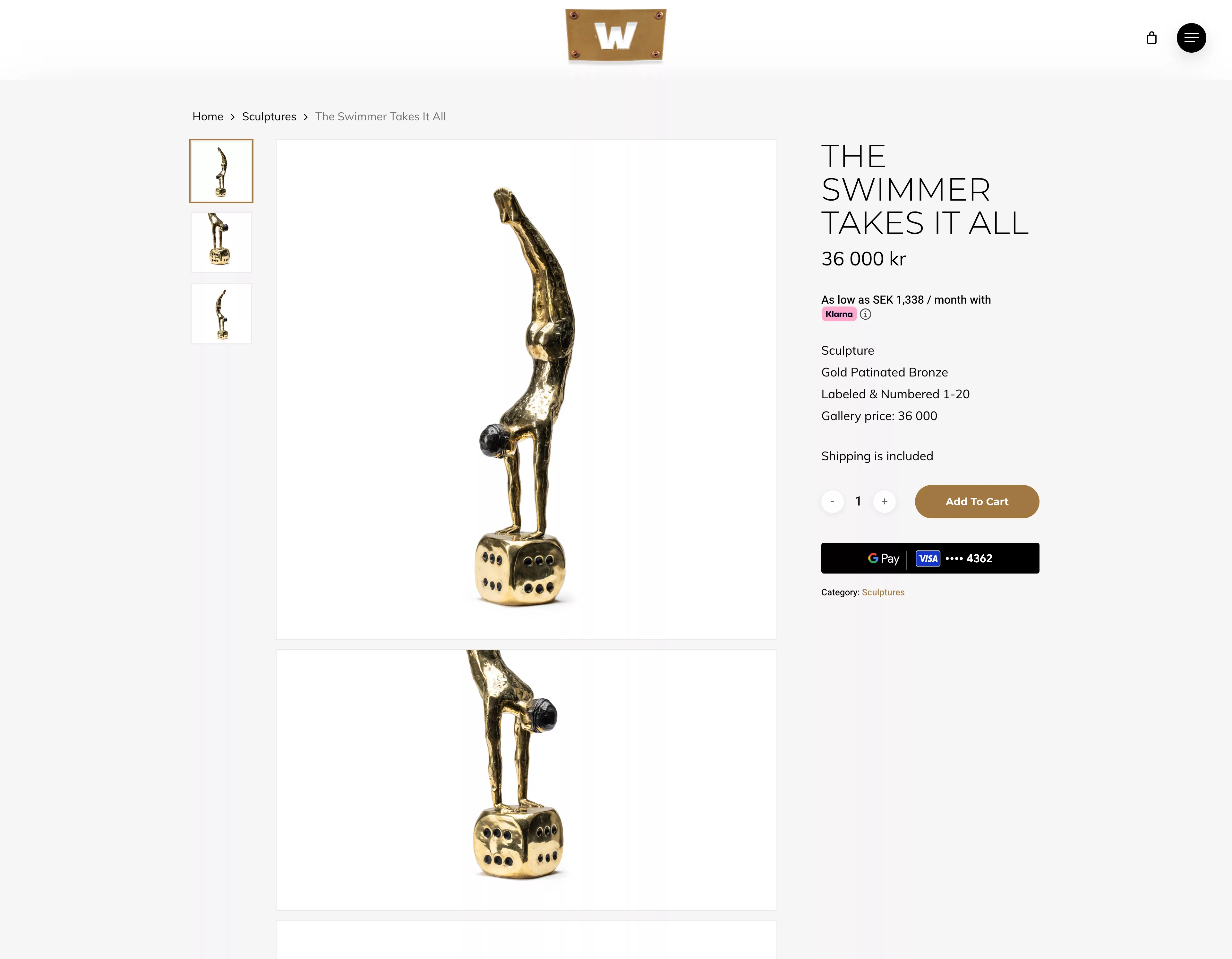 Andreas Wargenbrant Ecommerce the swimmer